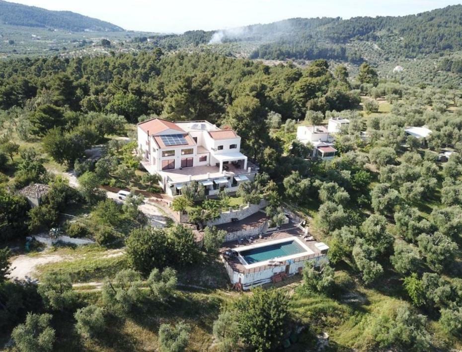 B&B Zia Ni Peschici Eksteriør bilde